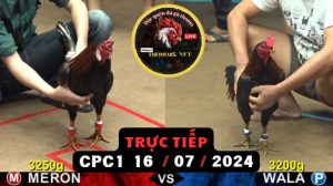 Trực Tiếp thomo CPC1 ngày 16-07-2024