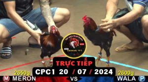 Trực Tiếp thomo CPC1 ngày 20-07-2024