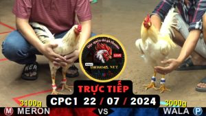 Trực Tiếp thomo CPC1 ngày 22-07-2024