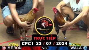 Trực Tiếp thomo CPC1 ngày 23-07-2024