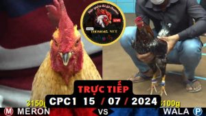 Trực Tiếp thomo CPC1 ngày 15-07-2024