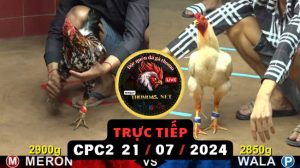 Trực Tiếp thomo CPC2 ngày 21-07-2024