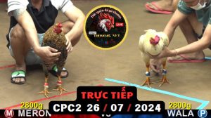 Trực Tiếp thomo CPC2 ngày 26-07-2024