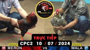 Trực Tiếp thomo CPC2 ngày 10-07-2024