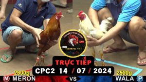 Trực Tiếp thomo CPC2 ngày 14-07-2024