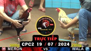 Trực Tiếp thomo CPC2 ngày 19-07-2024