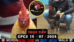 Trực Tiếp thomo CPC3 ngày 15-07-2024
