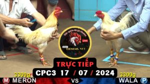 Trực Tiếp thomo CPC3 ngày 17-07-2024