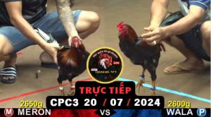 Trực Tiếp thomo CPC3 ngày 20-07-2024
