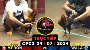 Trực Tiếp thomo CPC3 ngày 24-07-2024