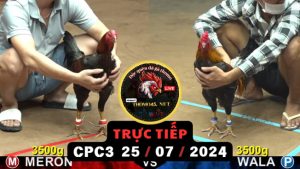 Trực Tiếp thomo CPC3 ngày 25-07-2024