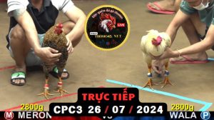 Trực Tiếp thomo CPC3 ngày 26-07-2024