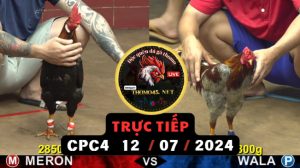 Trực Tiếp thomo CPC4 ngày 12-07-2024