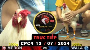 Trực Tiếp thomo CPC4 ngày 13-07-2024