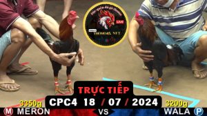 Trực Tiếp thomo CPC4 ngày 18-07-2024
