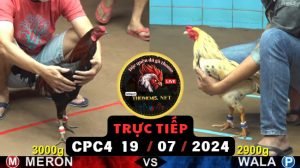 Trực Tiếp thomo CPC4 ngày 19-07-2024