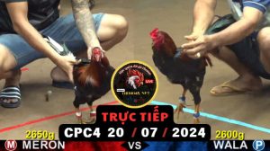 Trực Tiếp thomo CPC4 ngày 20-07-2024