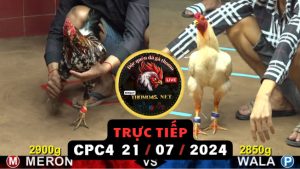 Trực Tiếp thomo CPC4 ngày 21-07-2024