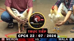 Trực Tiếp thomo CPC4 ngày 22-07-2024