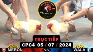 Trực Tiếp thomo CPC4 ngày 05-07-2024