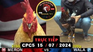 Trực Tiếp thomo CPC5 ngày 15-07-2024