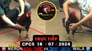 Trực Tiếp thomo CPC5 ngày 16-07-2024
