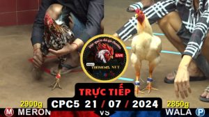 Trực Tiếp thomo CPC5 ngày 21-07-2024
