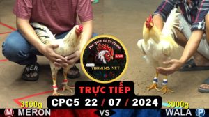Trực Tiếp thomo CPC5 ngày 22-07-2024