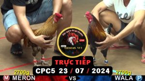 Trực Tiếp thomo CPC5 ngày 23-07-2024
