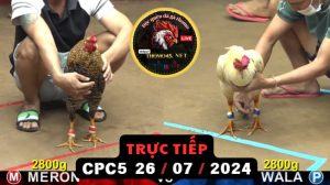 Trực Tiếp thomo CPC5 ngày 26-07-2024