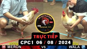 Trực Tiếp thomo CPC1 ngày 06-08-2024