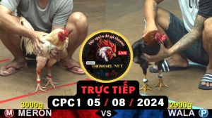 Trực Tiếp thomo CPC1 ngày 05-08-2024