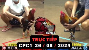 Trực Tiếp thomo CPC1 ngày 26-08-2024