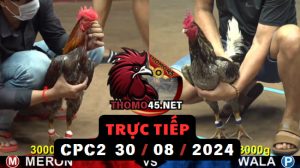 Trực Tiếp thomo CPC2 ngày 30-08-2024