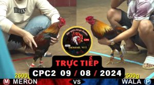 Trực Tiếp thomo CPC2 ngày 09-08-2024