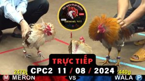 Trực Tiếp thomo CPC2 ngày 11-08-2024