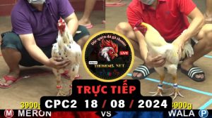 Trực Tiếp thomo CPC2 ngày 18-08-2024
