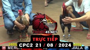 Trực Tiếp thomo CPC2 ngày 21-08-2024