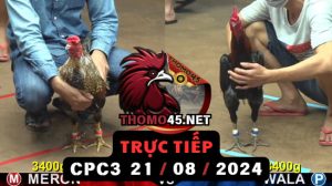 Trực Tiếp thomo CPC3 ngày 21-08-2024