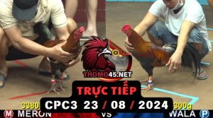 Trực Tiếp thomo CPC3 ngày 23-08-2024