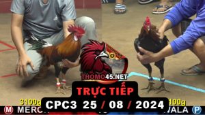 Trực Tiếp thomo CPC3 ngày 25-08-2024