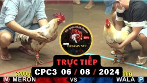 Trực Tiếp thomo CPC3 ngày 06-08-2024