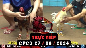 Trực Tiếp thomo CPC3 ngày 27-08-2024