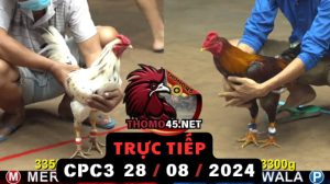 Trực Tiếp thomo CPC3 ngày 28-08-2024