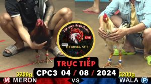 Trực Tiếp thomo CPC3 ngày 04-08-2024