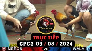 Trực Tiếp thomo CPC3 ngày 09-08-2024