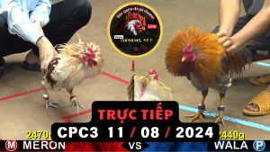 Trực Tiếp thomo CPC3 ngày 11-08-2024