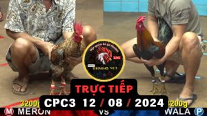 Trực Tiếp thomo CPC3 ngày 12-08-2024