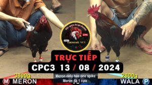 Trực Tiếp thomo CPC3 ngày 13-08-2024