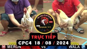 Trực Tiếp thomo CPC4 ngày 18-08-2024